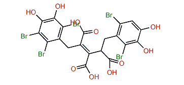 Symphyocladin V